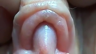 Intense Close-Up Of A Big Clit And Pussy Lips