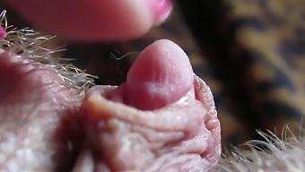 Intense Close-Up Of My Pulsating Clitoris Head